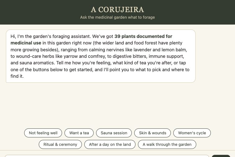 The herb garden guide