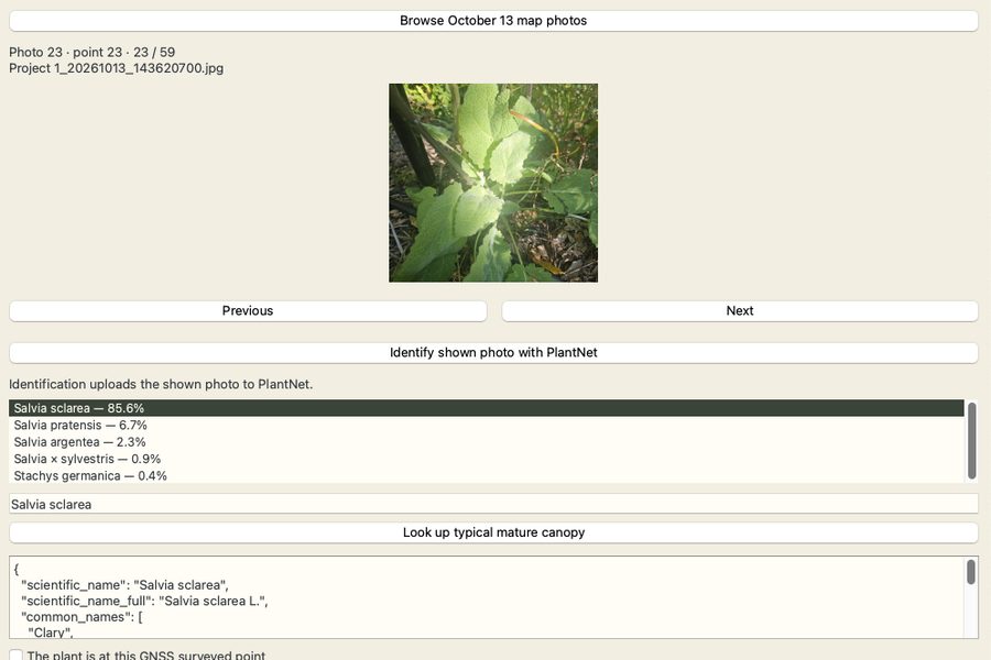 Identifying a surveyed plant with PlantNet in QGIS