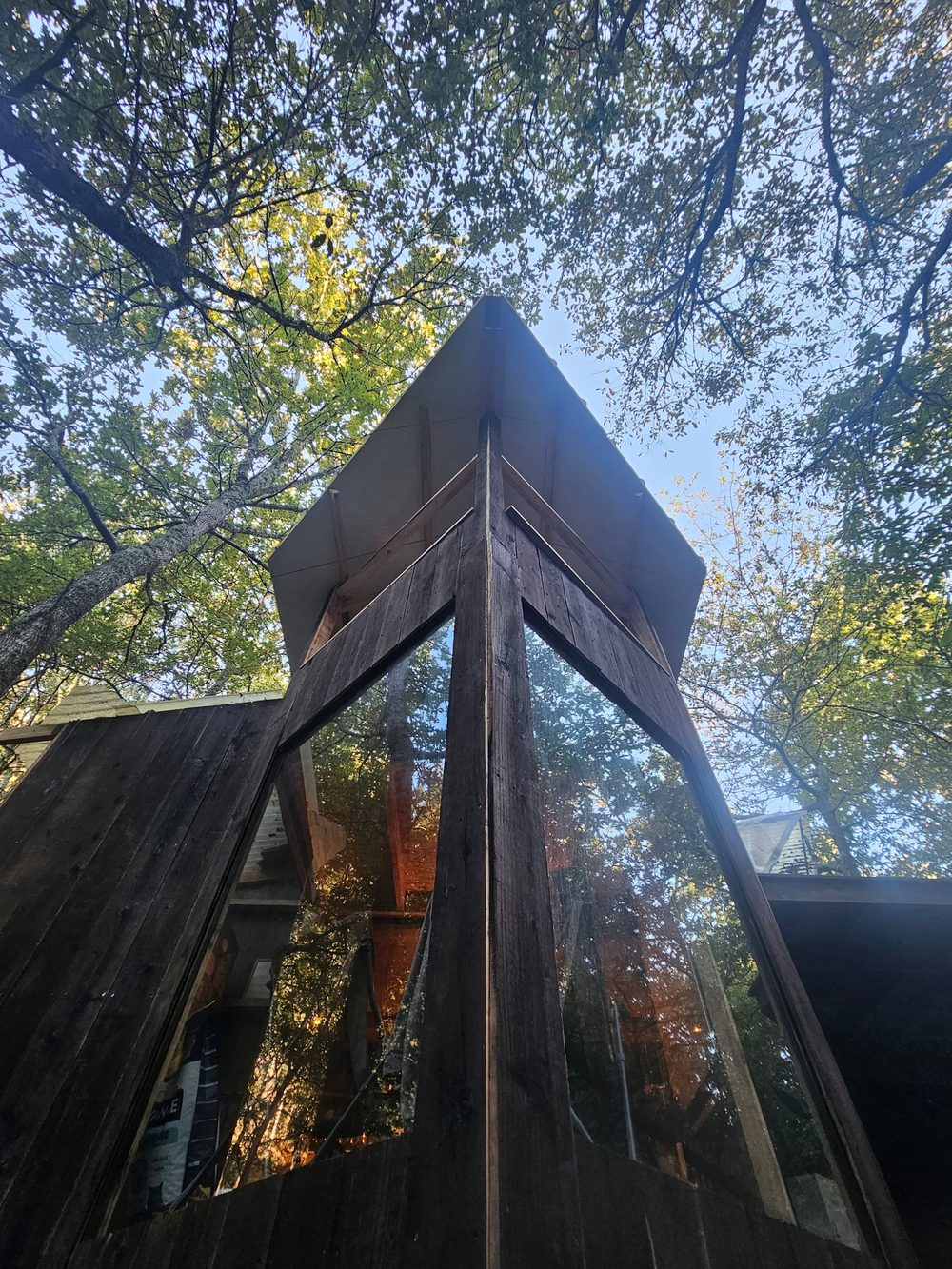 The extension seen from below: dark weathered boards, tall glazing and the roof edge against the oak canopy